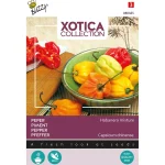 peper-habanero-mix-zqrCPtVC-0.webp