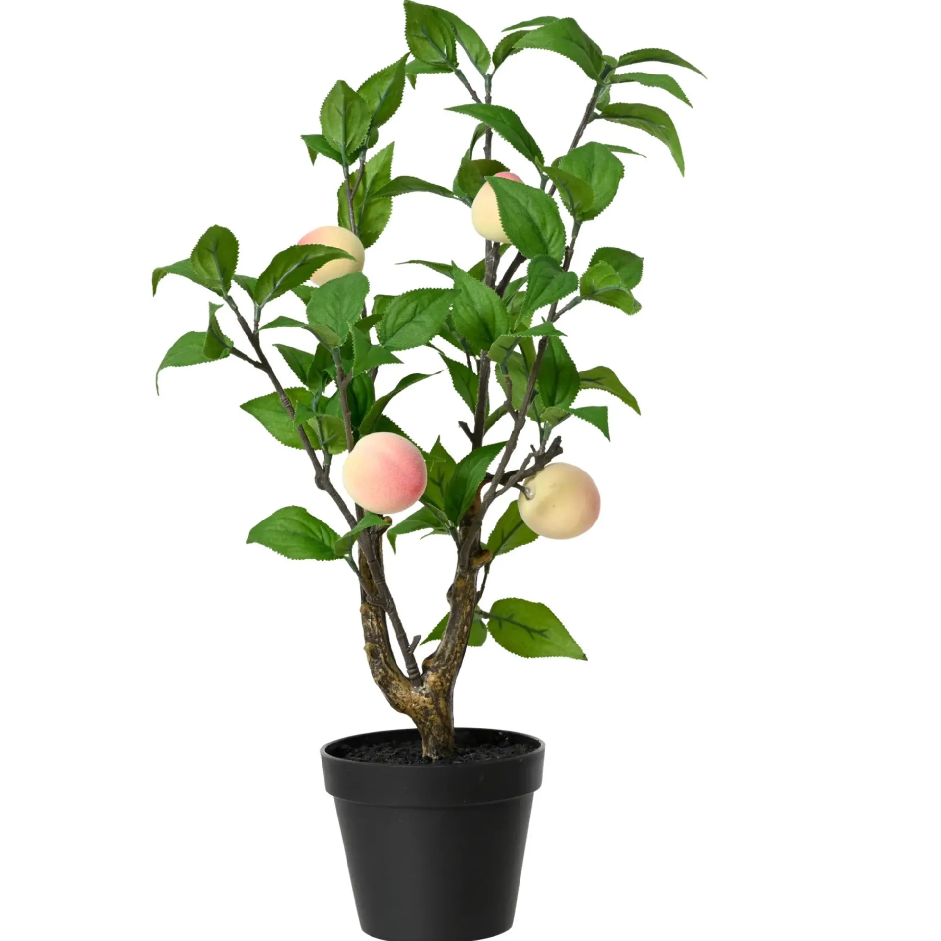 perzikplant-in-pot-48-cm-BlLtaZEv-0.webp Clearance Decoris Perzikplant In Pot 48 Cm