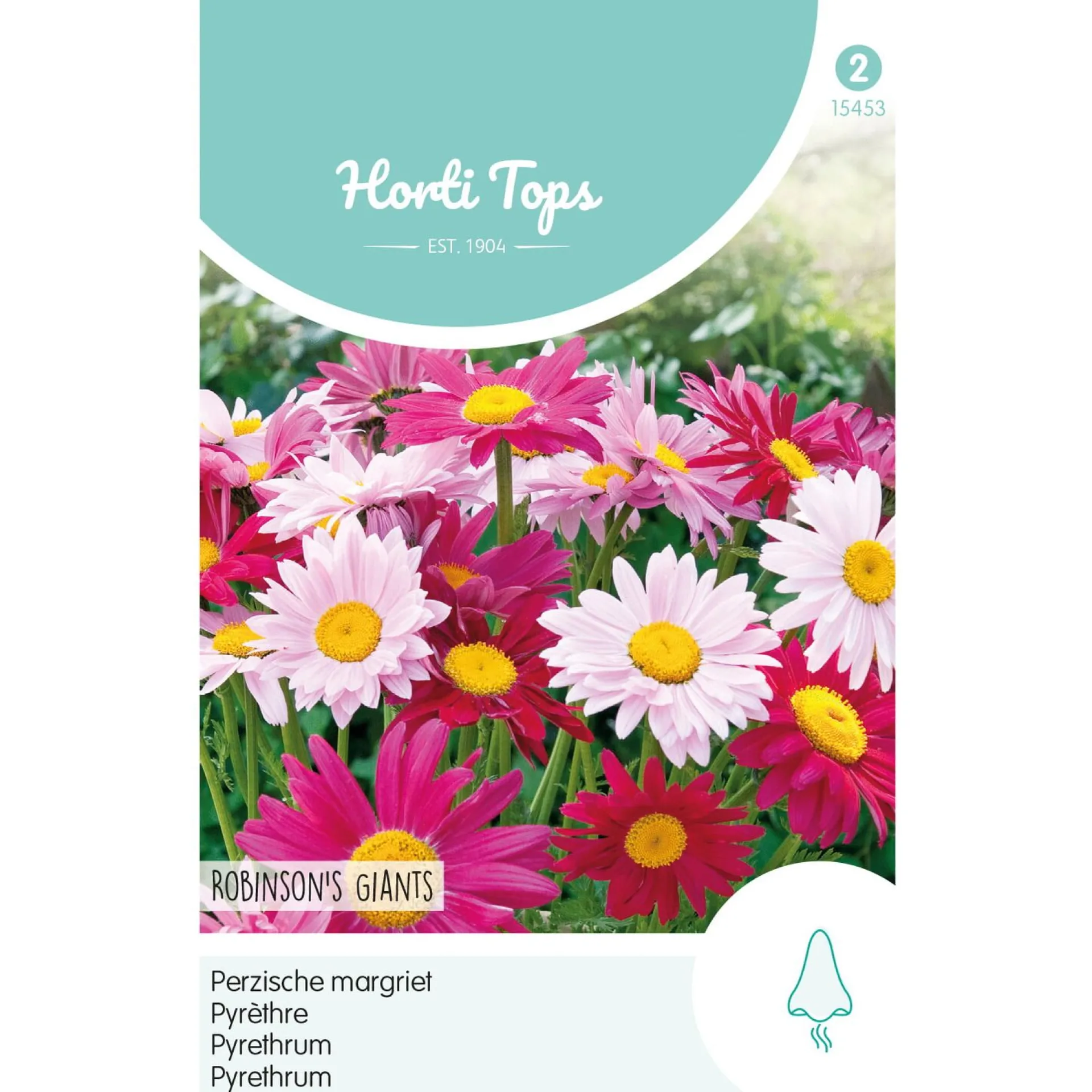 perzische-margriet-robinson-gi-kkxLCNnH-0.webp Outlet Horti Tops Perzische Margriet Robinson Giants