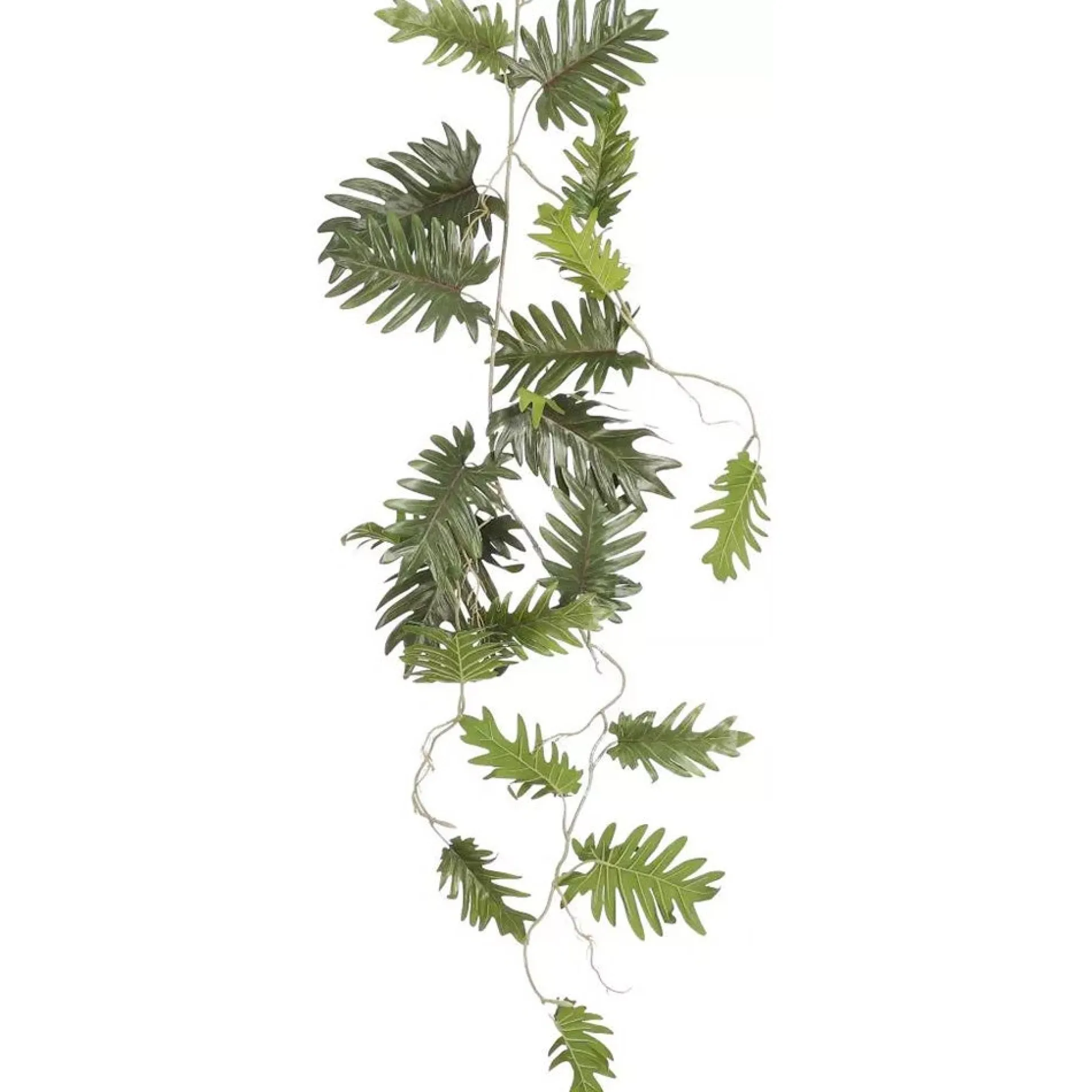philodendron-selloum-hangend-g-EbeaSJmx-0.webp Sale Mica Decorations Philodendron Selloum Hangend Groen 115 Cm