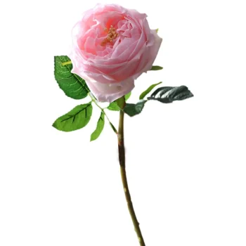 Online Everlands Pioen Roze 72 Cm