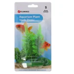 plant-aqua-plastic-s-assorti-OuLrvElo-0.webp