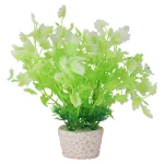 plant-aquarium-plastic-assorti-TkYYrBTP-0.webp
