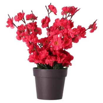 Fashion O'malley Plant Bloesem Assorti