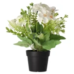 Fashion Everlands Plant In Pot 24 Cm Diverse Assorti