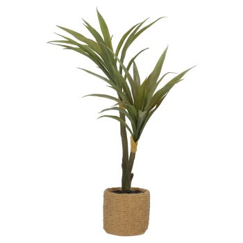 Hot Plant In Pot 60 Cm
