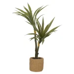 plant-in-pot-60-cm-ytONmSFv-0.webp