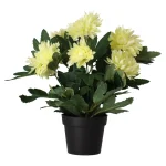 Online O'malley Plant P 4 Assorti