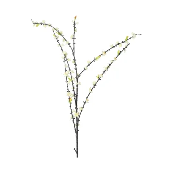 Hot O'malley Plum Blossom 110 Cm White