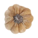 pompoen-fluweel-6cm-RcDtUOdb-0.webp