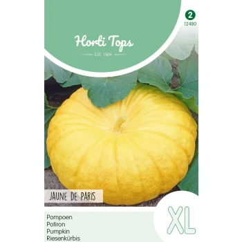 Hot Horti Tops Pompoen Jaune De Paris Zaad