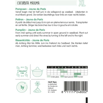 Hot Horti Tops Pompoen Jaune De Paris Zaad