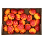 Fashion O'malley Pompoen Mini Mix