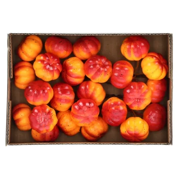 Fashion O'malley Pompoen Mini Mix