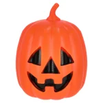 Best Van Cranenbroek Pompoen Plastic 20x25cm