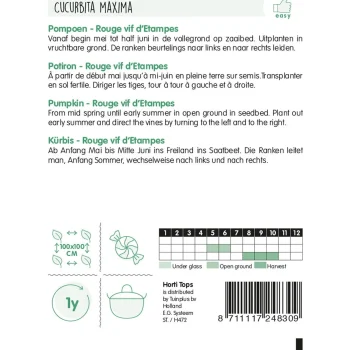 Hot Horti Tops Pompoen Rouge Vif D'etampes Zaad