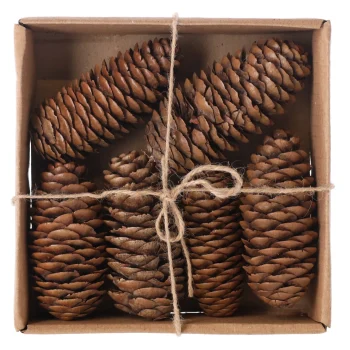 Discount Natural Collections Raicone Nature 6st