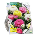 Discount Baltus Ranonkel Pastel Mix Per 15