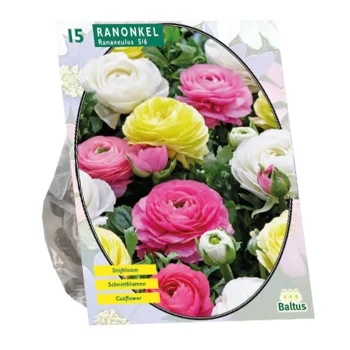 Discount Baltus Ranonkel Pastel Mix Per 15