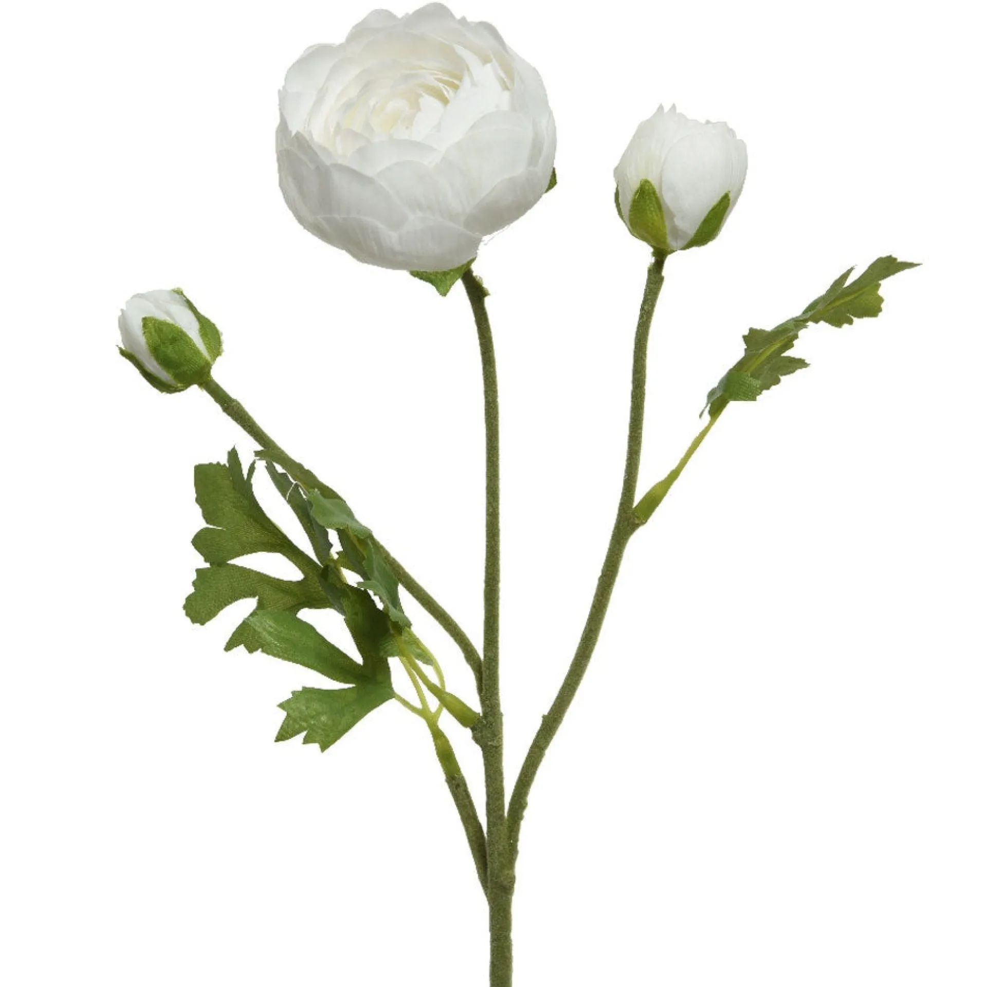 ranonkel-wit-51-cm-AWiFsSMy-0.webp Fashion Decoris Ranonkel Wit 51 Cm