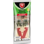 rattenval-hout-protect-home-EeEUXJfM-0.webp