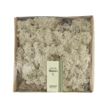 Sale Natural Collections Rendiermos Naturel 250g