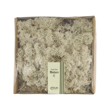 Sale Natural Collections Rendiermos Naturel 250g