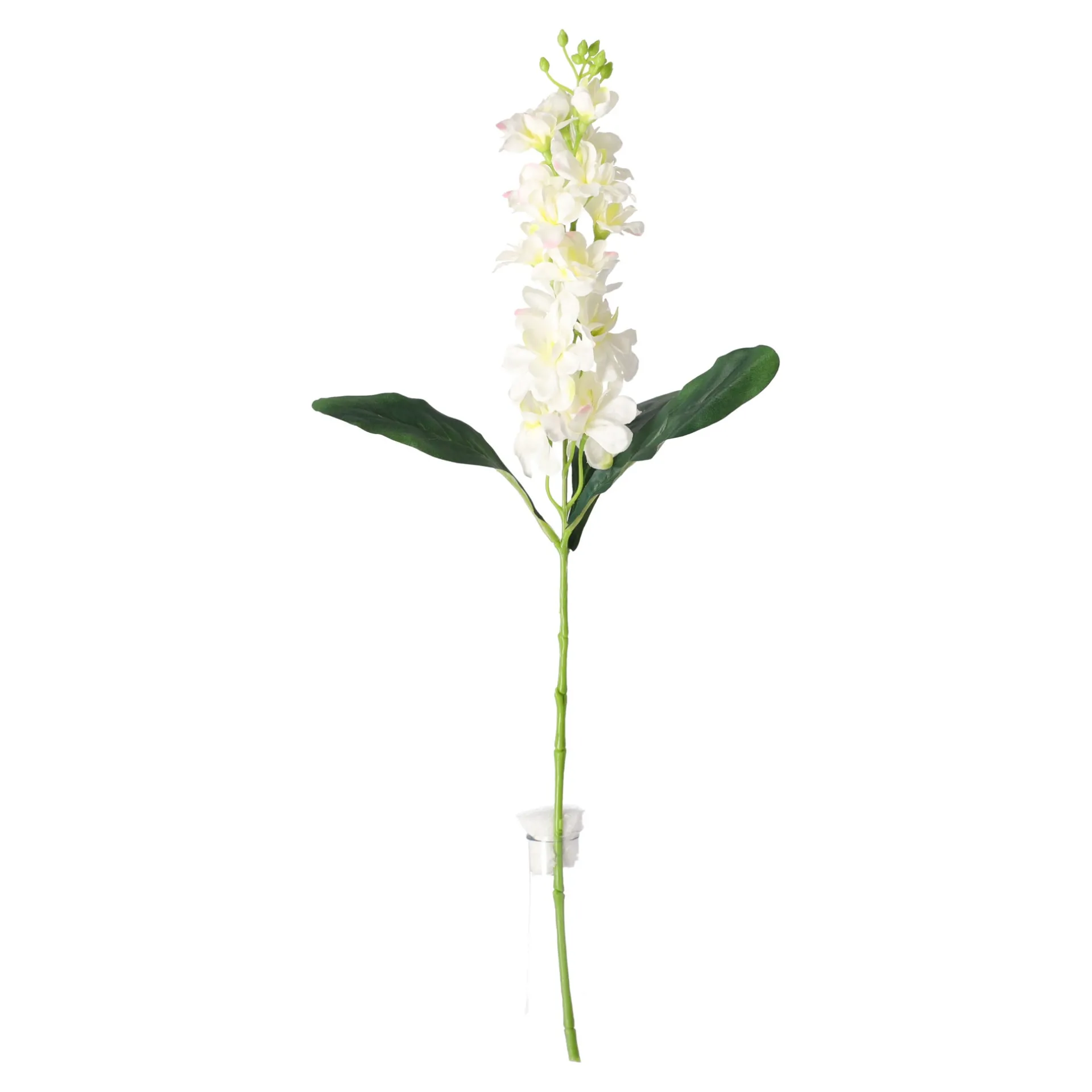 ridderspoor-51-cm-wit-QFMUkJSn-0.webp Clearance O'malley Ridderspoor 51 Cm Wit