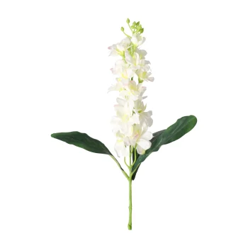 Clearance O'malley Ridderspoor 51 Cm Wit