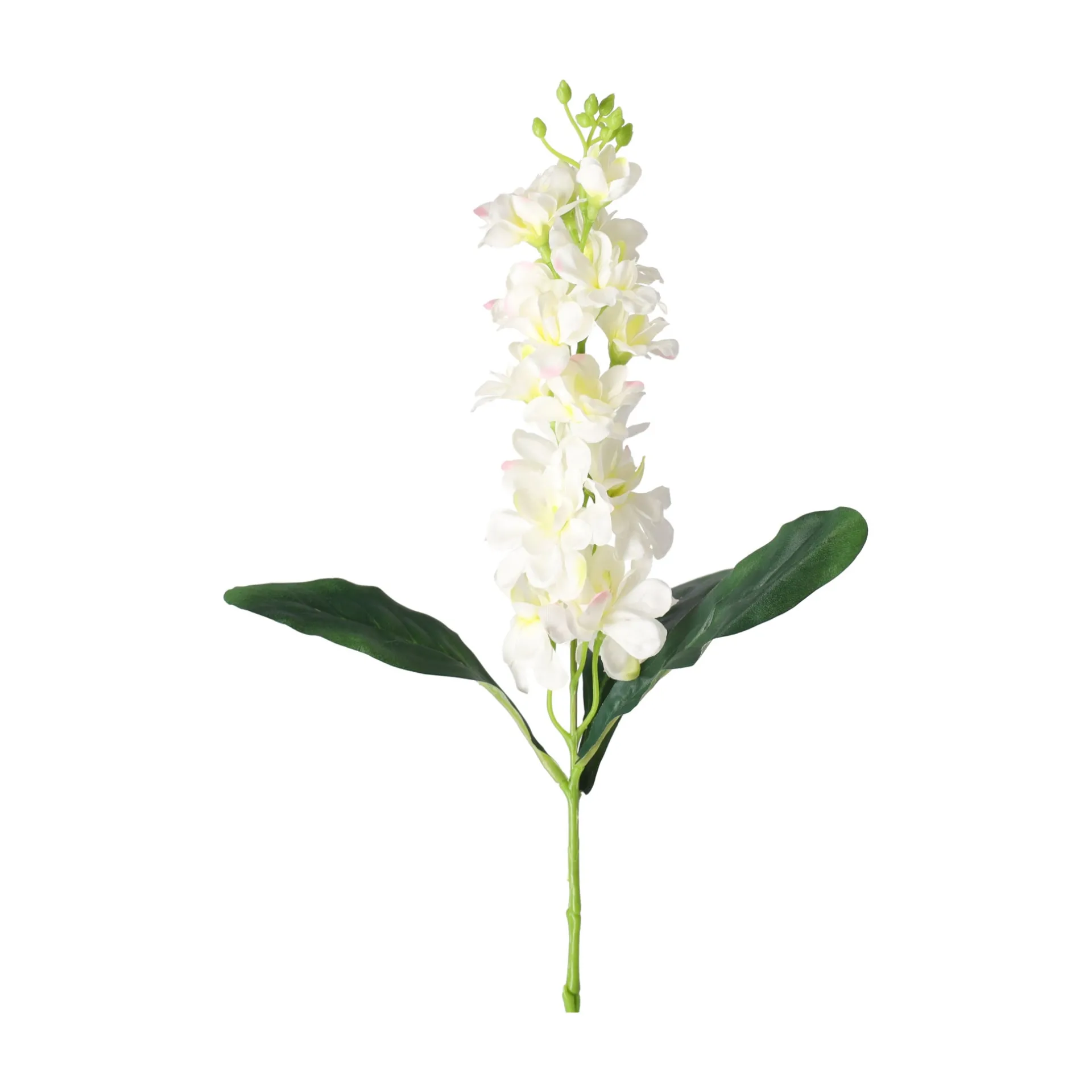 ridderspoor-51-cm-wit-QFMUkJSn-1.webp Clearance O'malley Ridderspoor 51 Cm Wit