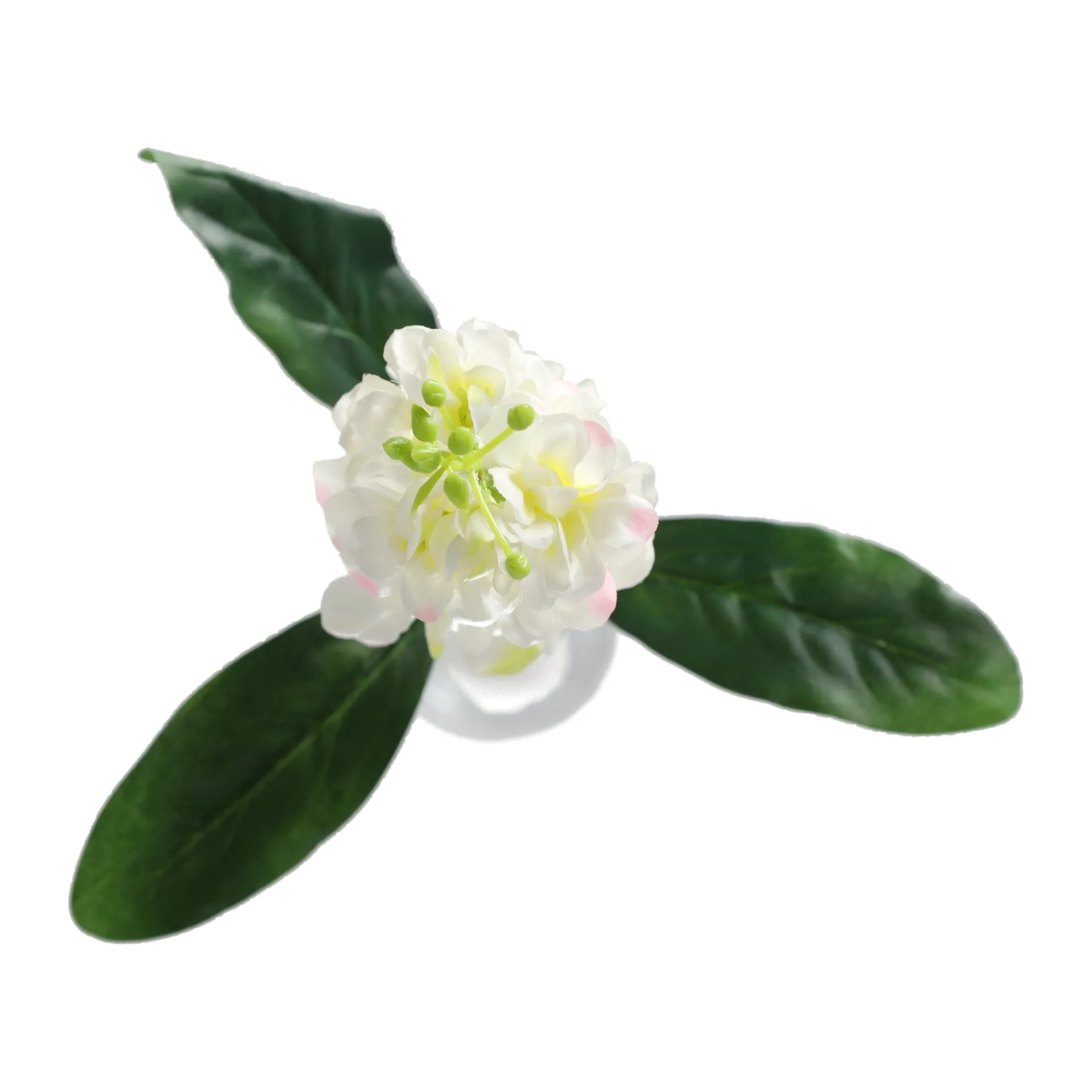 ridderspoor-51-cm-wit-QFMUkJSn-2.webp Clearance O'malley Ridderspoor 51 Cm Wit