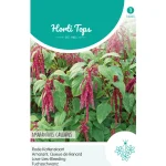 Discount Horti Tops Rode Kattenstaart