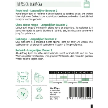 Outlet Horti Tops Rodekool Langedijker Bewaar 2 Zaad