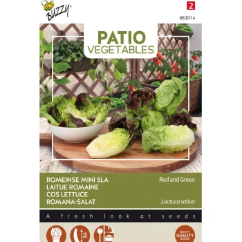 Outlet Buzzy Romeinse Mini Sla Mix