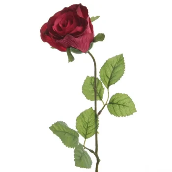 Clearance Everlands Roos 45 Cm Fuchsia