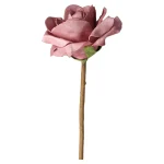 rose-foam-pink-90-cm-FJAMwWOm-0.webp