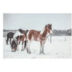 Clearance O'malley Schilderij LED Paarden 60 X 40 Cm