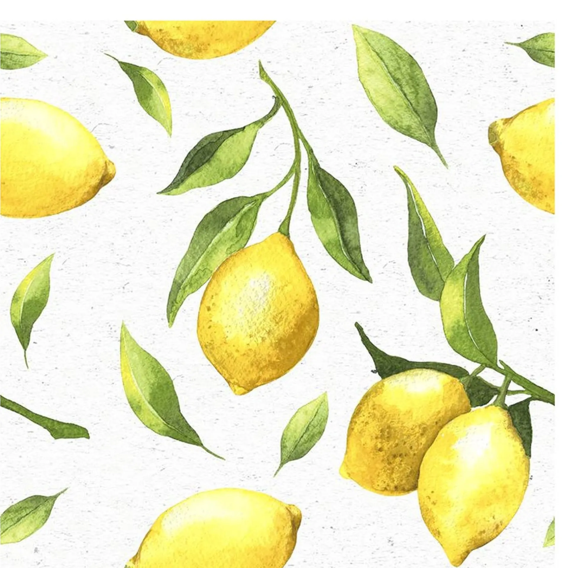 servet-33-x-33-cm-citroen-20st-JfOsINPa-0.webp Discount Duni Servet 33 X 33 Cm Citroen 20st.