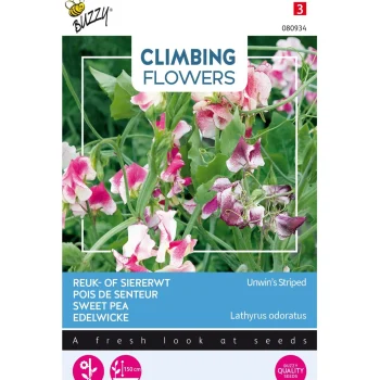 Best Buzzy Siererwt Unwin Striped