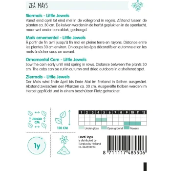 Sale Horti Tops Siermaïs Little Jewels