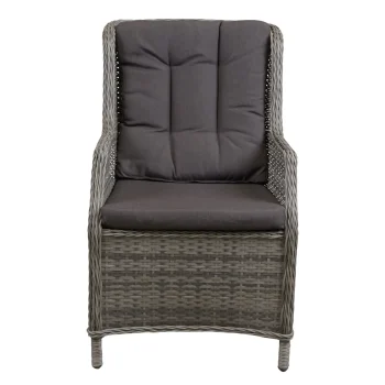 Clearance Bois Le Duc Stoel Manuli Willow Grey Met Kussen