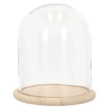 Best Stolp Glas Nature 23 X 27 Cm