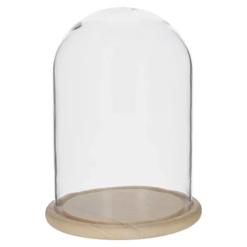 Clearance Stolp Glas Nature 23 X 32 Cm