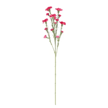 Discount O'malley Tak Carnation Roze 68 Cm