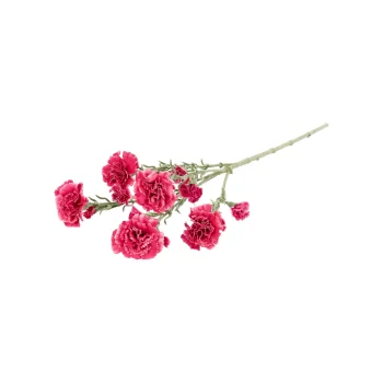 Discount O'malley Tak Carnation Roze 68 Cm