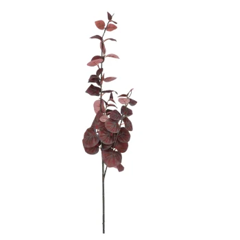 Outlet O'malley Tak Eucalyptus Rood 100 Cm