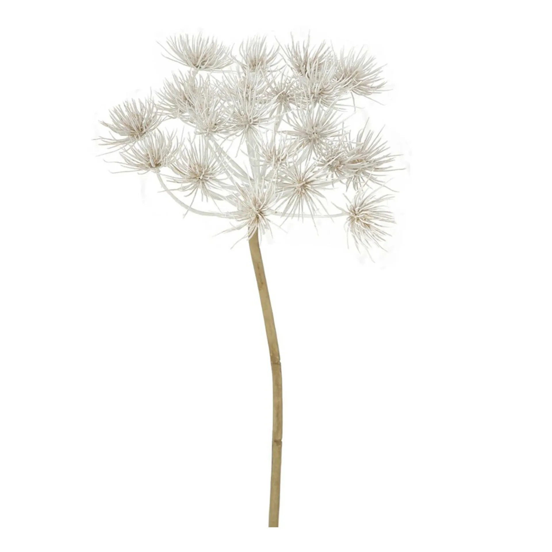 tak-hogweed-creme-76-cm-BeRFzkeD-0.webp Fashion Boltze Home Tak Hogweed Creme 76 Cm