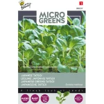 tatsoi-microgreens-zaden-buzzy-ZqepAmTu-0.webp
