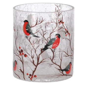 Hot Natural Collections Theelichthouder Glas Vogels 9 X 9 X 10 Cm