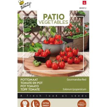 Hot Buzzy Tomaat Gourmandise Red